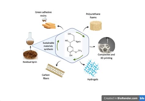  Lignin: Biomateriale rivoluzionario per una manifattura sostenibile!