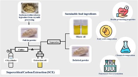  Okara: Riciclo Creativo e Produzione di Alimenti Funzionali!